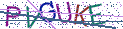 Type the letters shown in the picture