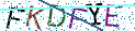 Type the letters shown in the picture