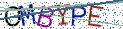 Type the letters shown in the picture