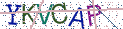Type the letters shown in the picture