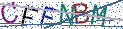 Type the letters shown in the picture