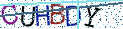 Type the letters shown in the picture