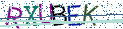 Type the letters shown in the picture