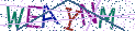 Type the letters shown in the picture