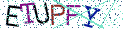 Type the letters shown in the picture