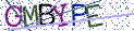 Type the letters shown in the picture