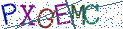 Type the letters shown in the picture
