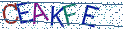 Type the letters shown in the picture