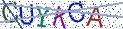 Type the letters shown in the picture