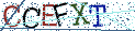 Type the letters shown in the picture
