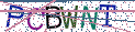 Type the letters shown in the picture