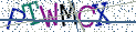Type the letters shown in the picture