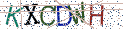 Type the letters shown in the picture