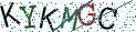 Type the letters shown in the picture