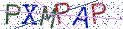 Type the letters shown in the picture