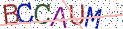 Type the letters shown in the picture