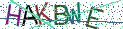 Type the letters shown in the picture