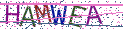 Type the letters shown in the picture