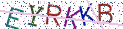 Type the letters shown in the picture