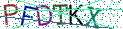 Type the letters shown in the picture