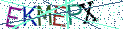 Type the letters shown in the picture