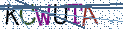 Type the letters shown in the picture