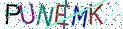 Type the letters shown in the picture