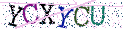 Type the letters shown in the picture