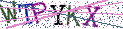 Type the letters shown in the picture