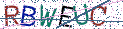 Type the letters shown in the picture