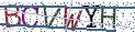 Type the letters shown in the picture