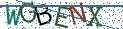 Type the letters shown in the picture