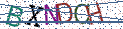 Type the letters shown in the picture