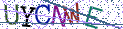 Type the letters shown in the picture