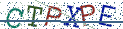 Type the letters shown in the picture