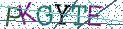 Type the letters shown in the picture