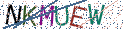 Type the letters shown in the picture