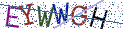 Type the letters shown in the picture