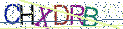 Type the letters shown in the picture