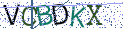 Type the letters shown in the picture