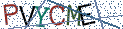 Type the letters shown in the picture
