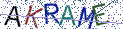 Type the letters shown in the picture