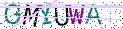 Type the letters shown in the picture