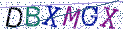 Type the letters shown in the picture