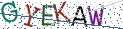 Type the letters shown in the picture