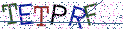 Type the letters shown in the picture