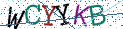 Type the letters shown in the picture