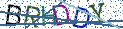 Type the letters shown in the picture