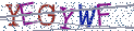 Type the letters shown in the picture