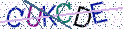 Type the letters shown in the picture